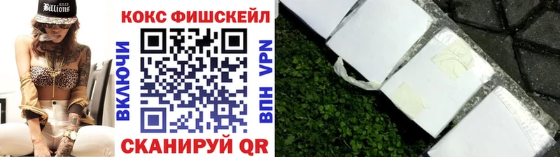 гидра ссылка  площадка наркотические препараты  Cocaine Fish Scale  Прокопьевск 