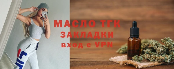 индика Гусев
